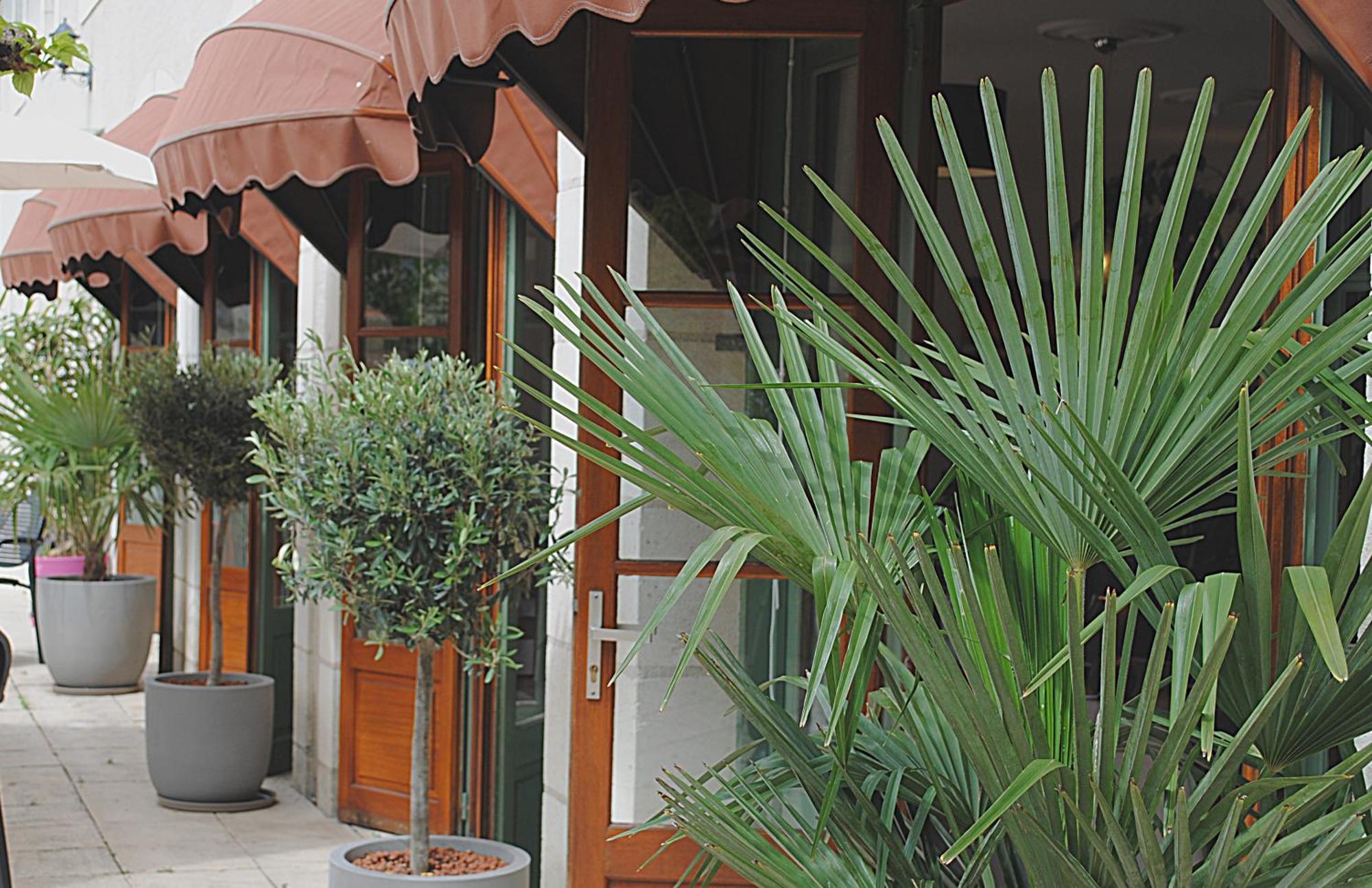 Logis Hostellerie Du Perigord Vert 브랑톰 외부 사진